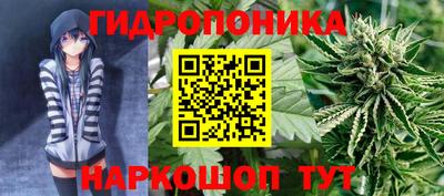2c-b Камышлов