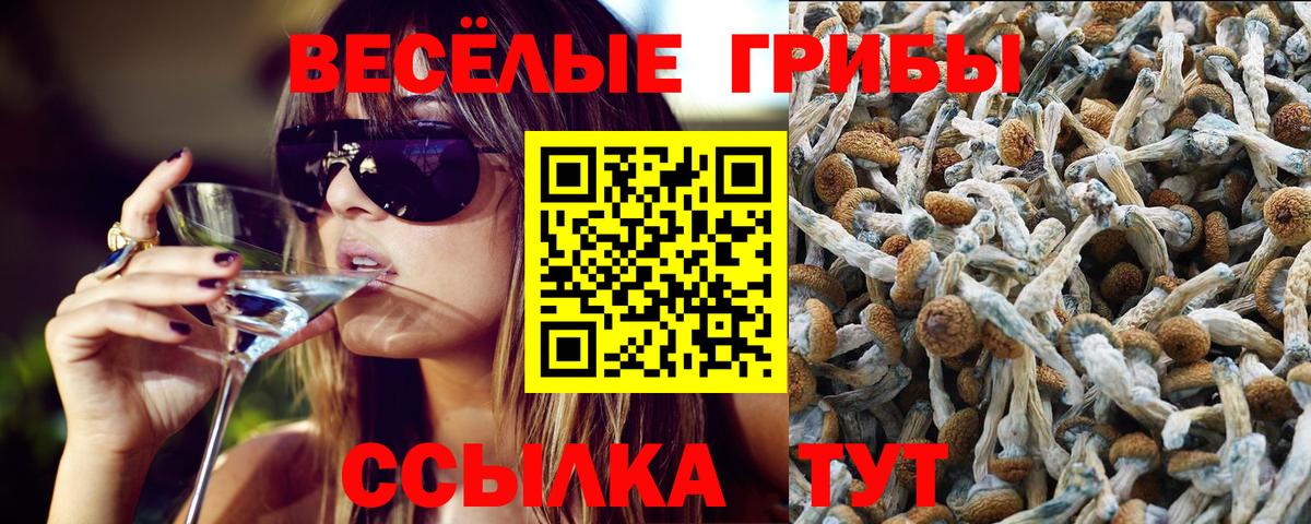 Псилоцибиновые грибы ЛСД  Вход с VPN  Ижевск  Псилоцибиновые грибы Psilocybine cubensis 