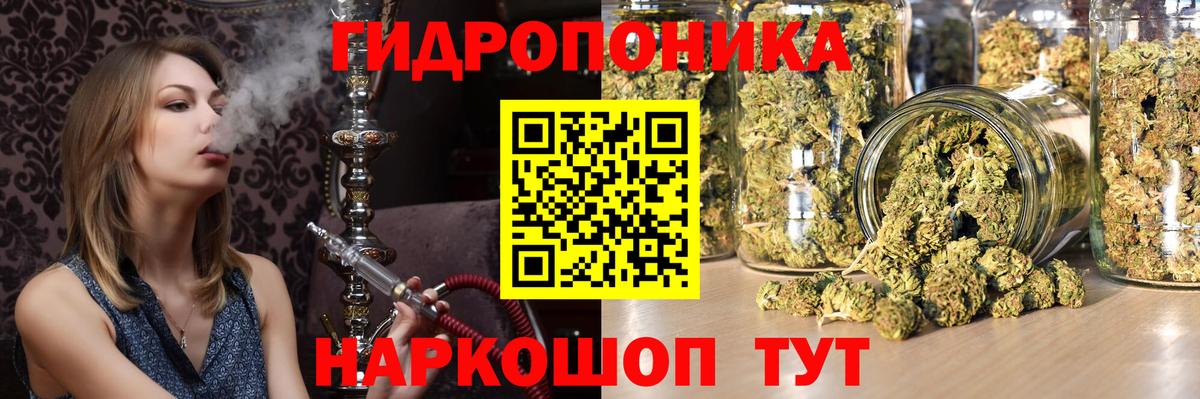 Конопля сатива Ижевск
